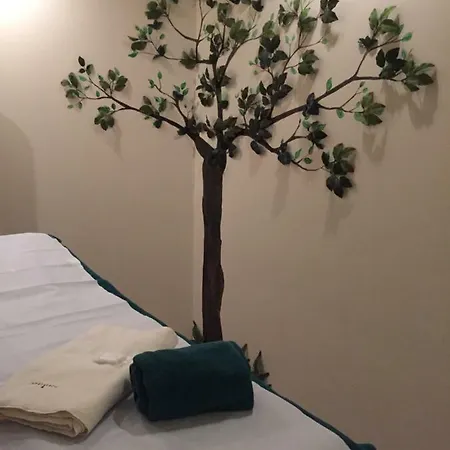 Hotel Il Castello Di 4*
