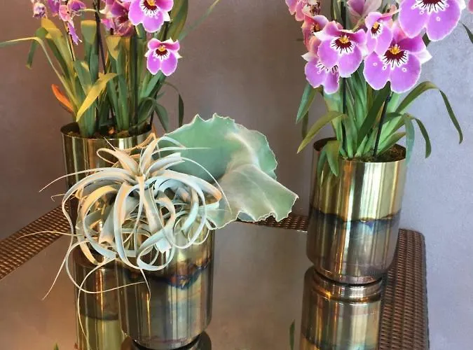 Hotell Il Castello Di Lovere